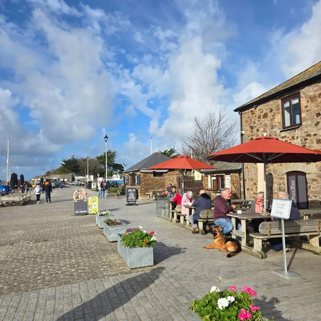 Olive Tree Bude